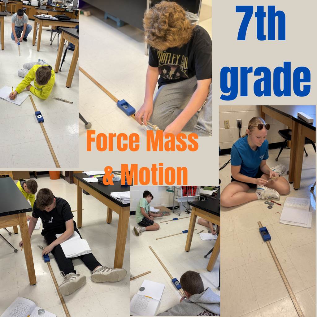 Force Mass & Motion