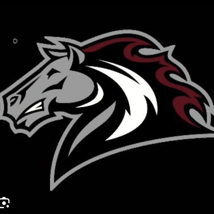 Bronco logo