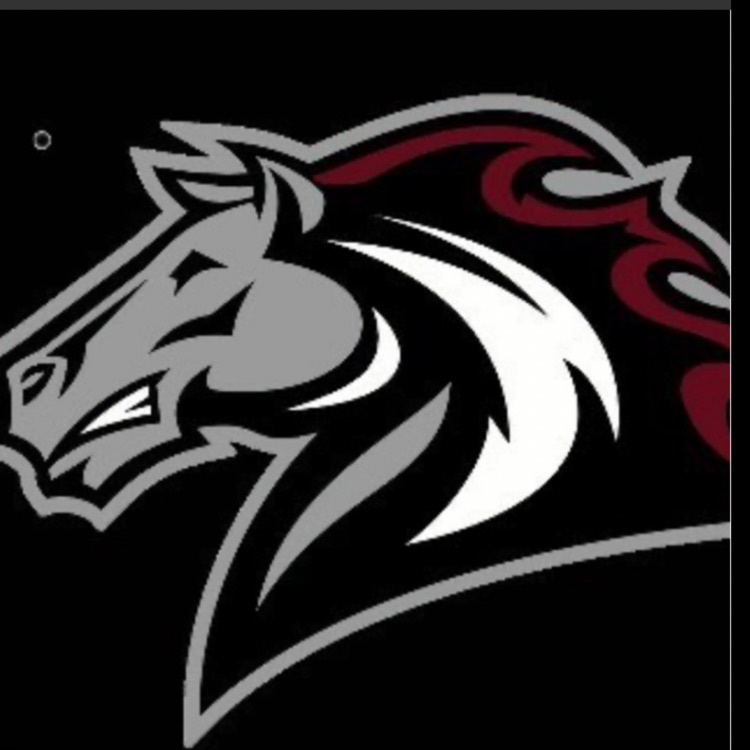 Bronco logo