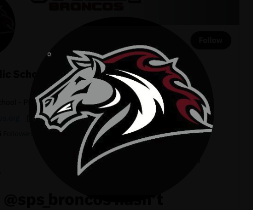 Bronco Logo
