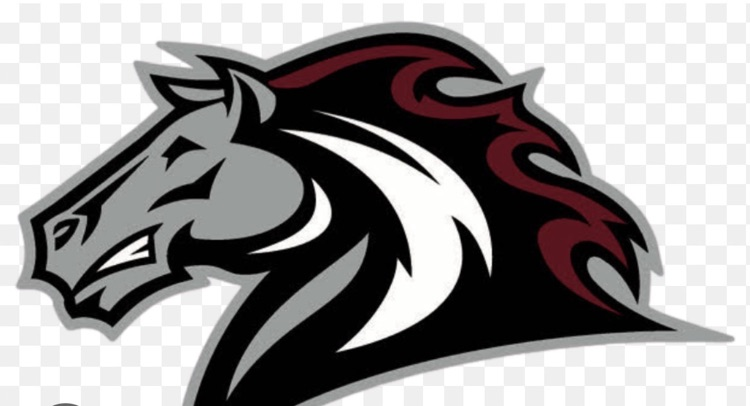 Bronco