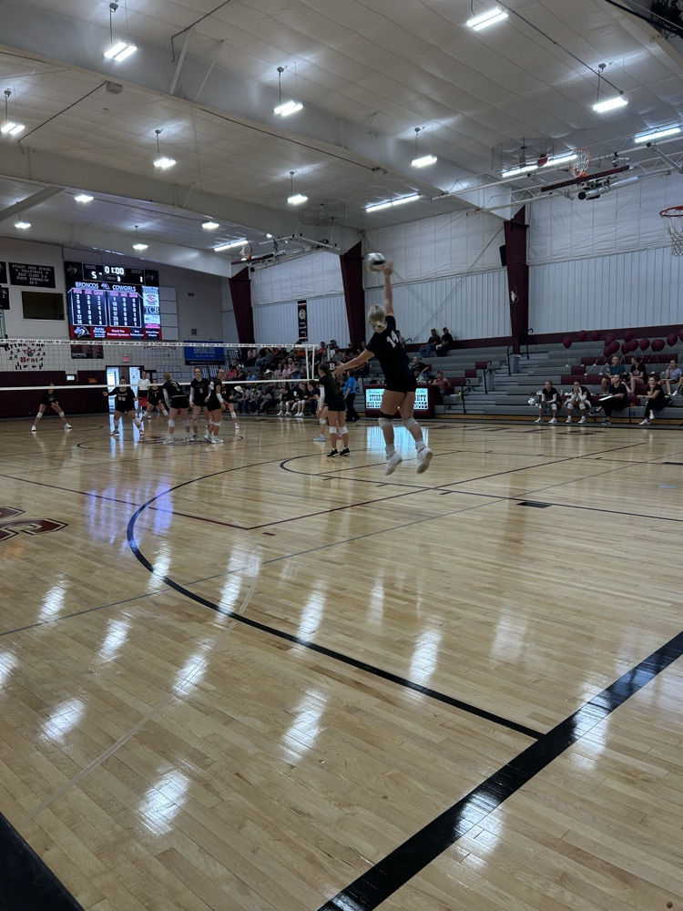 Volleyball