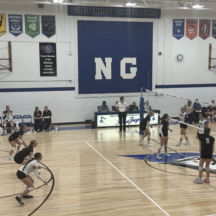 Lady Broncos volleyball