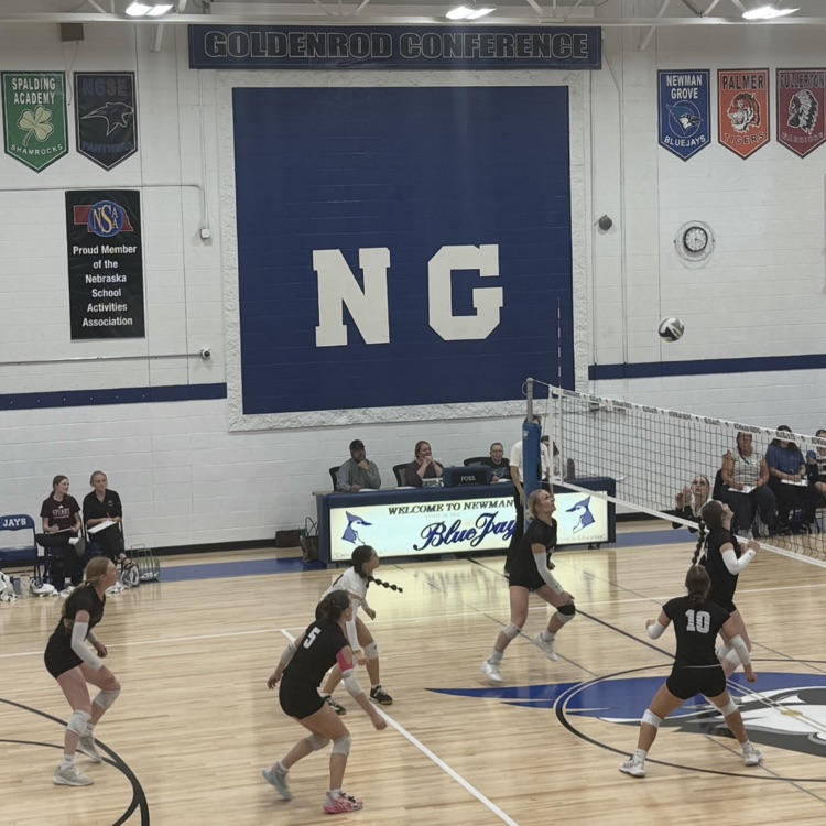 Volleyball at Newman Grove