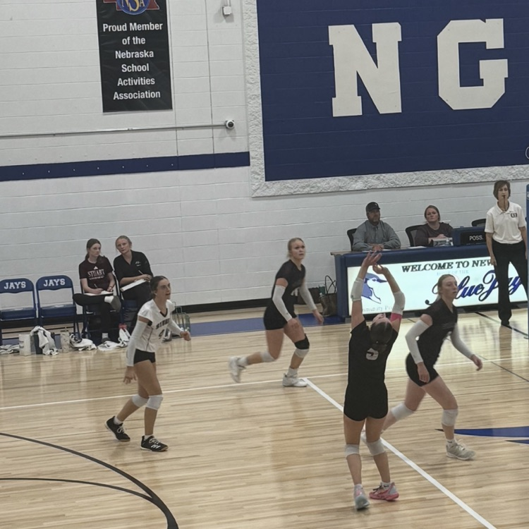 Lady Broncos Volleyball