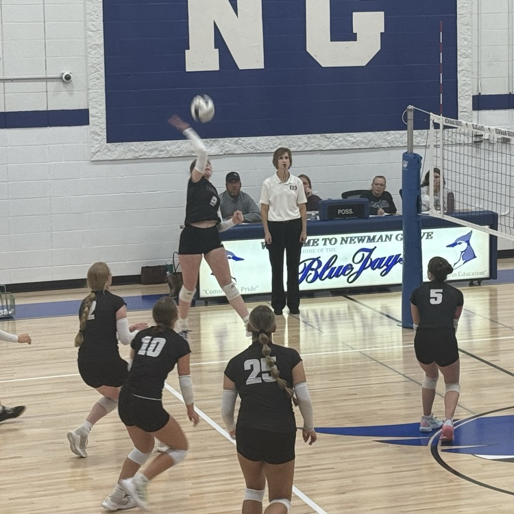 Lady Broncos volleyball