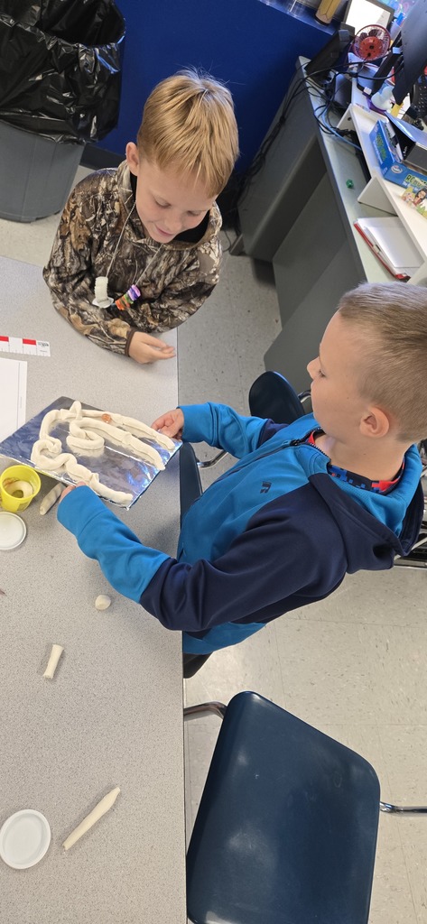 Third Grade STEM