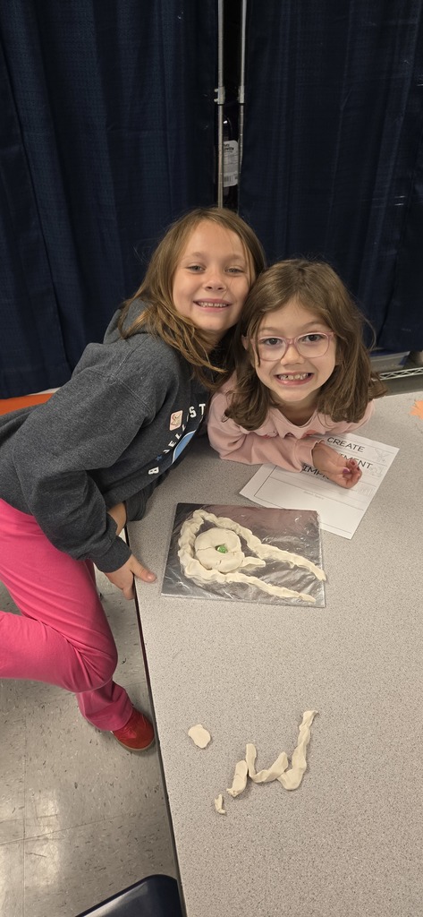 Third Grade STEM