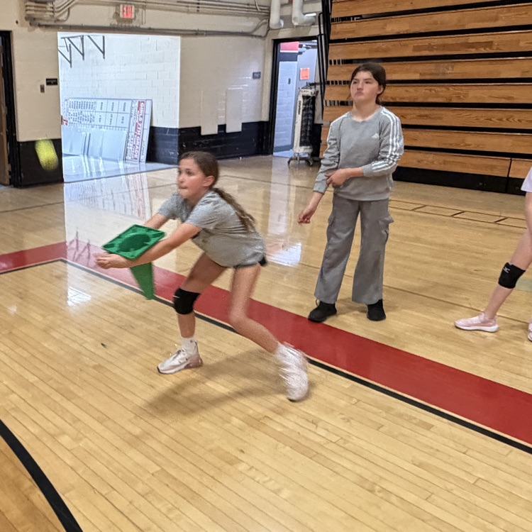 vball 