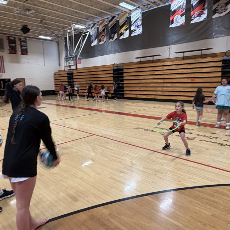 vball 