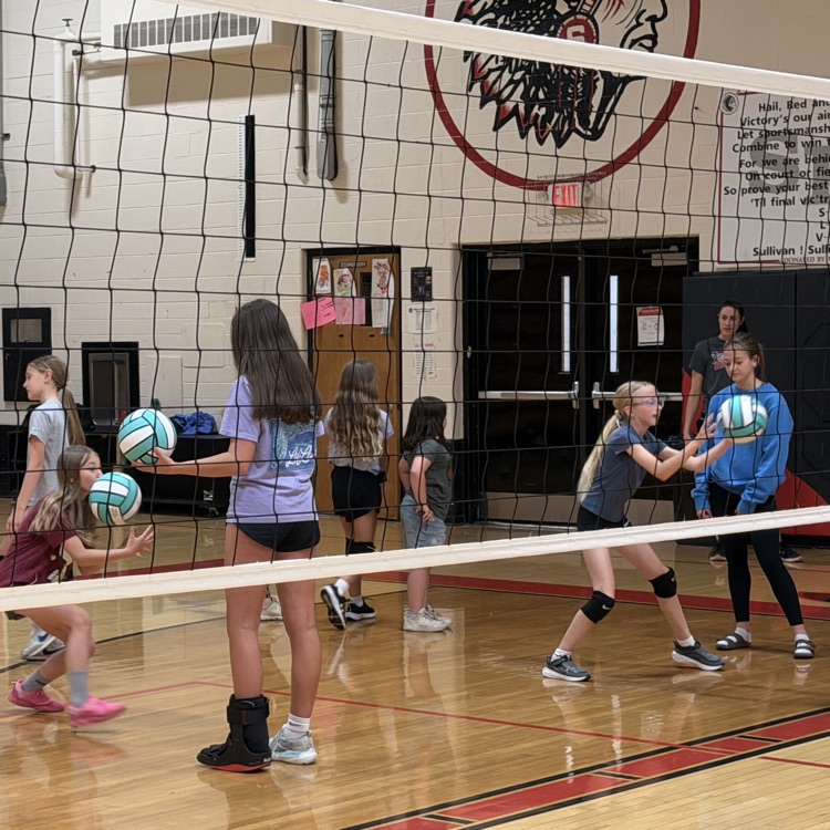 vball 