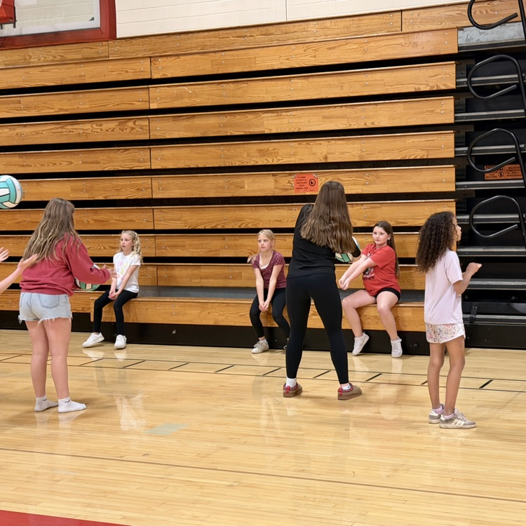 vball 