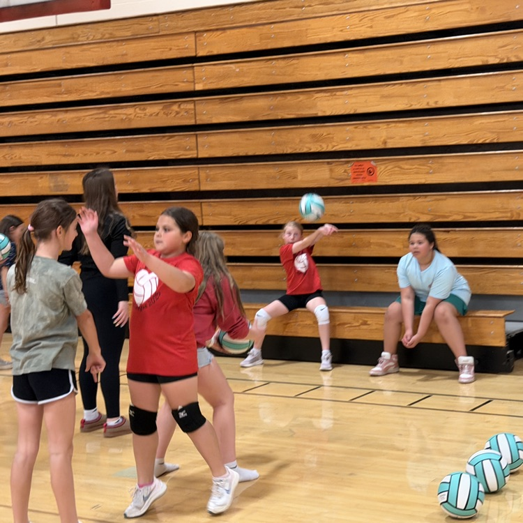 vball