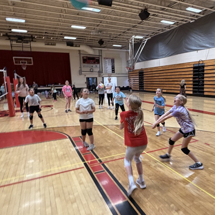 vball