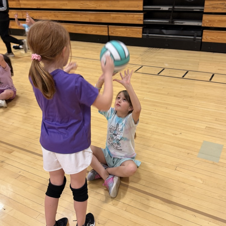 vball