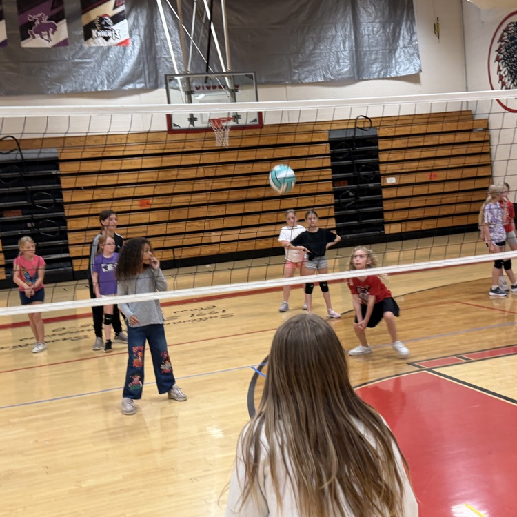 vball