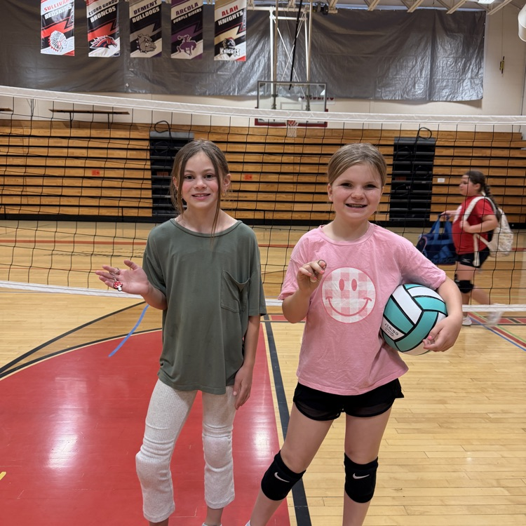 vball 
