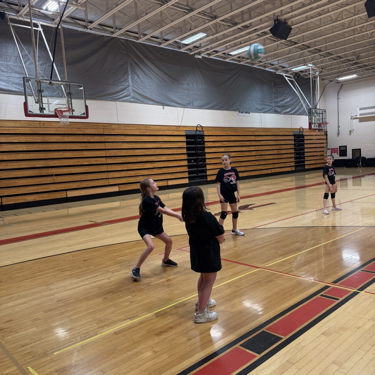 vball