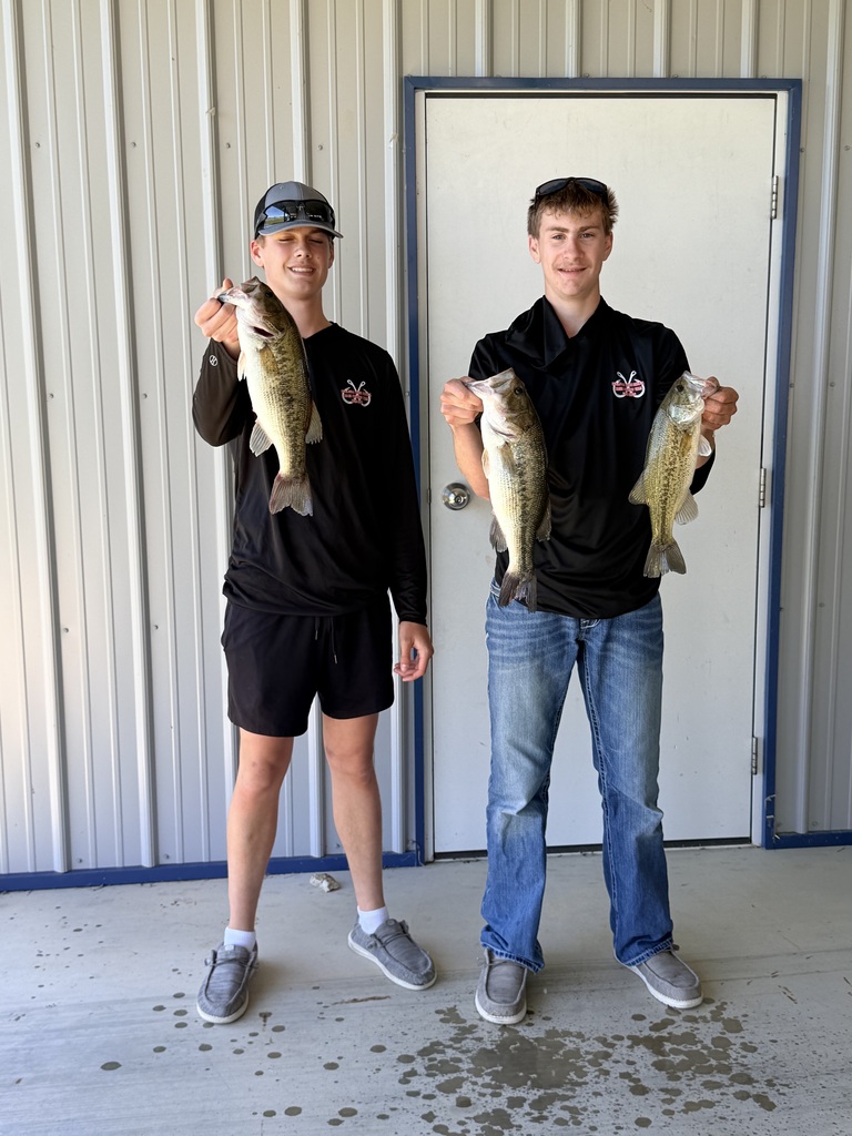Bass