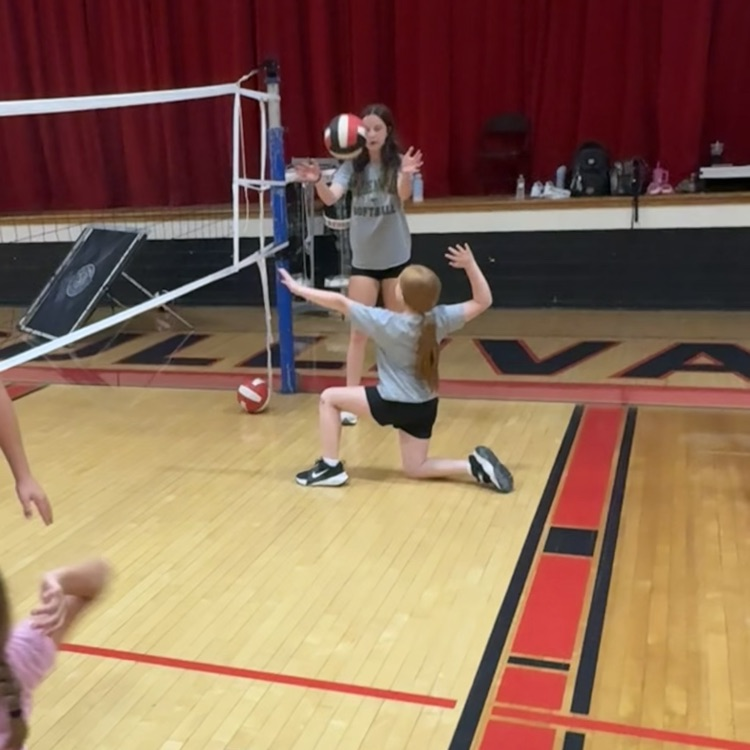 vb