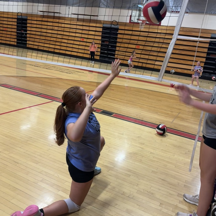 vb