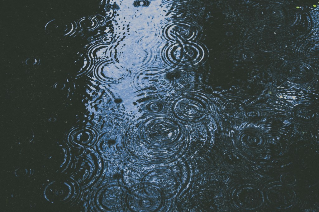 rain puddle