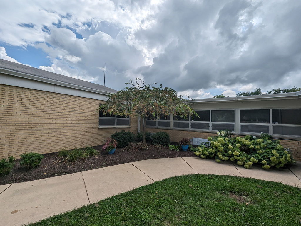 Image of landscaping