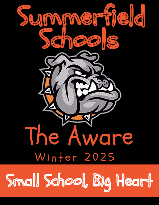 Image of The Aware cover