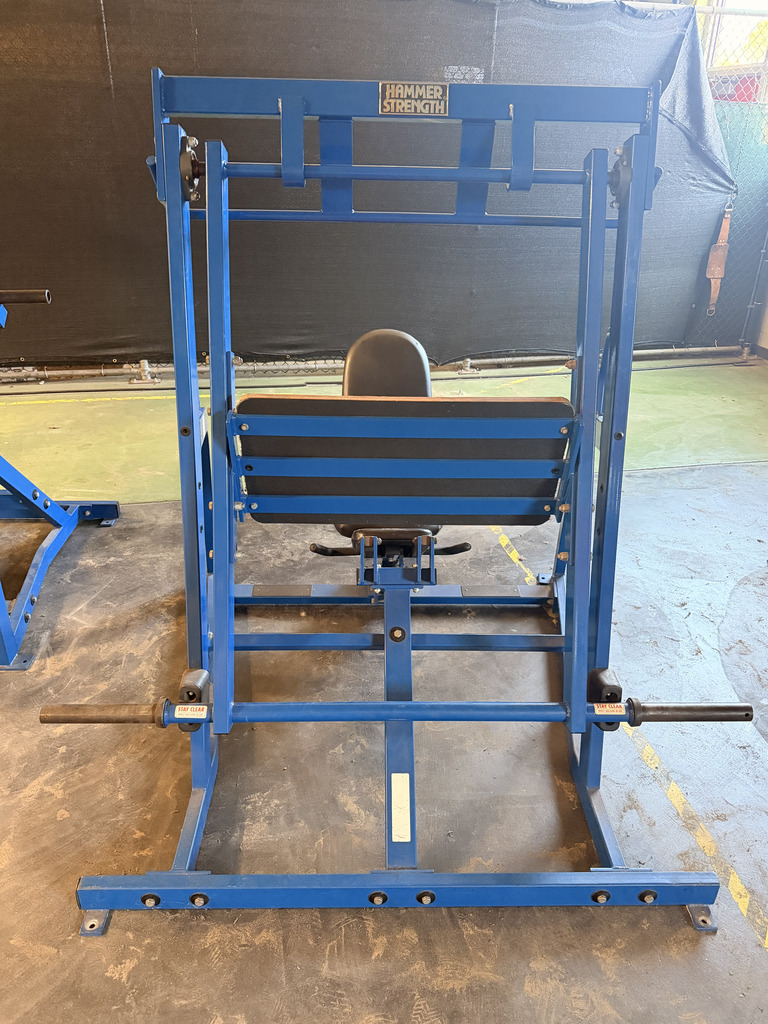 image of leg press
