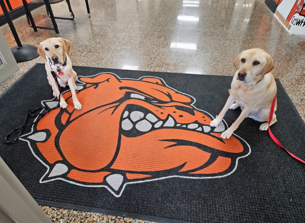 Bulldogs