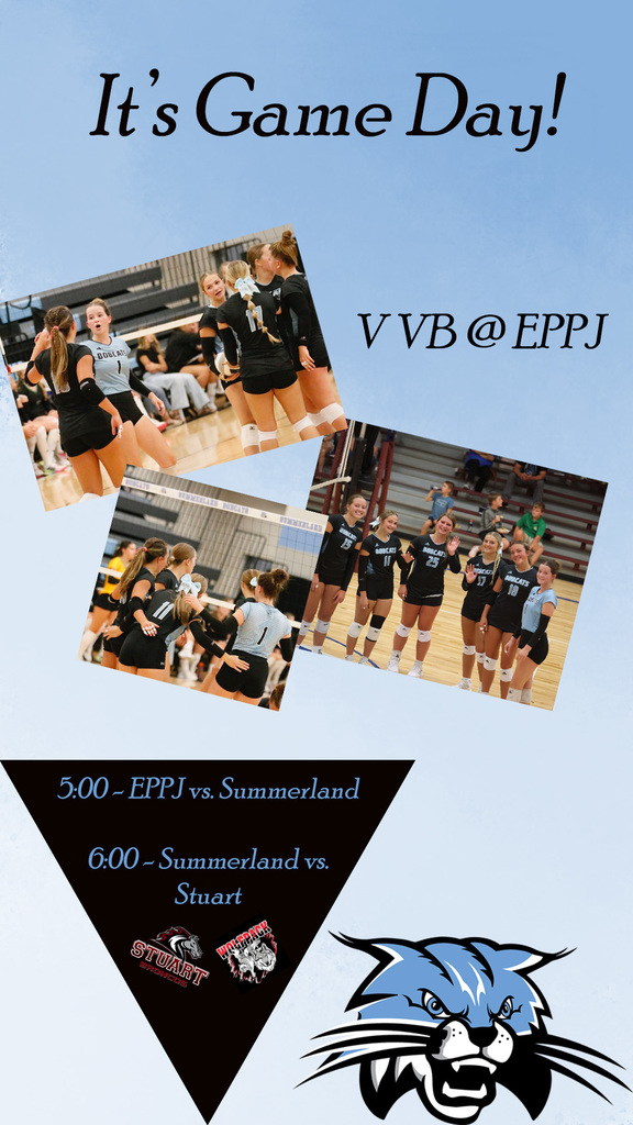 vb