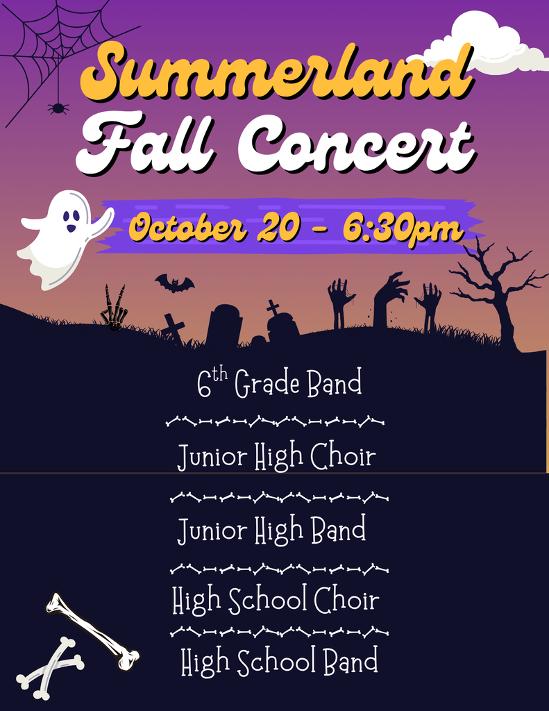 Concert Flyer