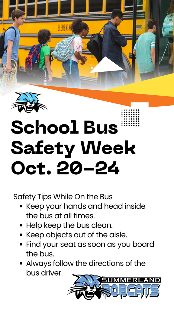 Bus Safety