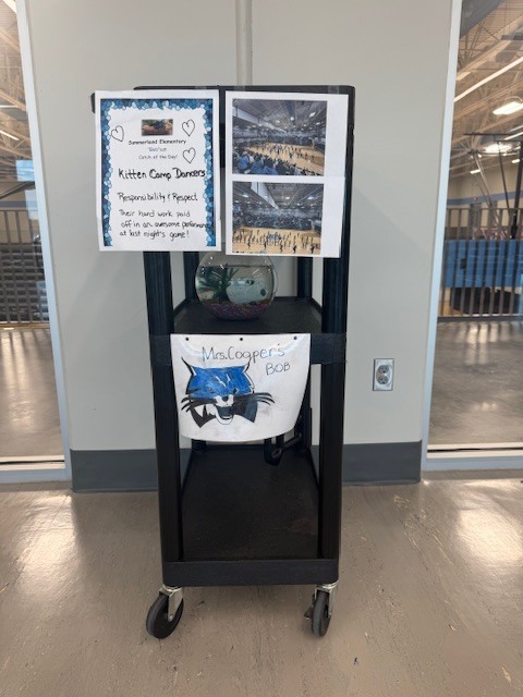 Bobcat Catch of the Day