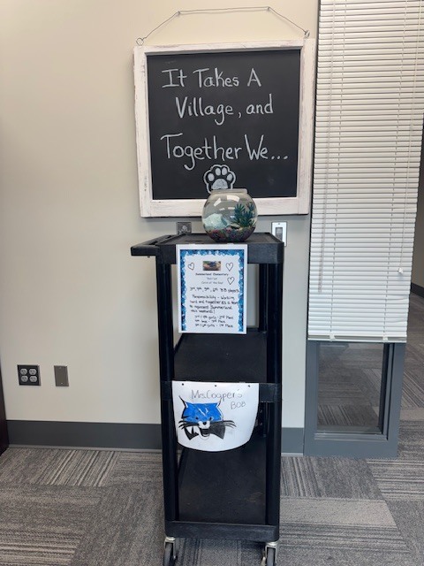 Bobcat Catch of the Day