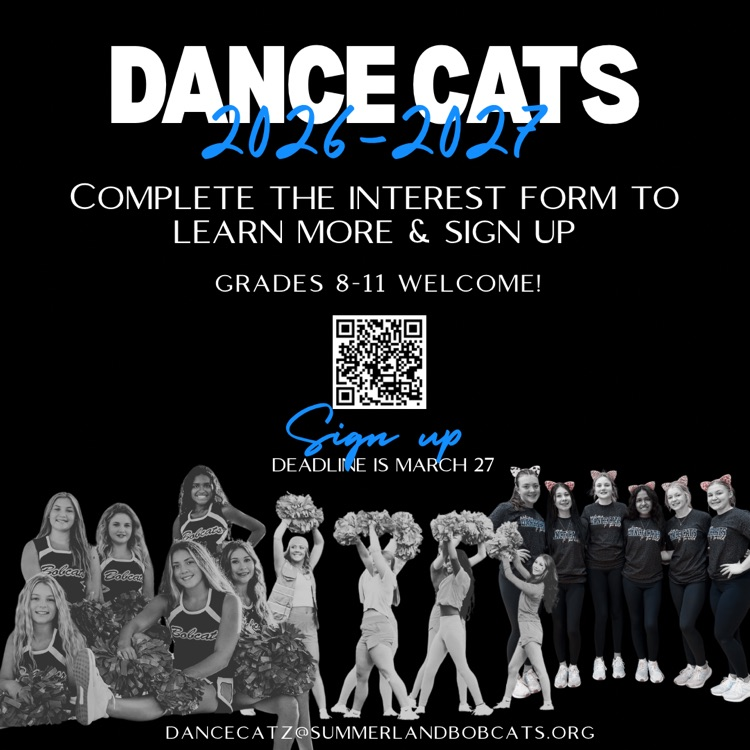 dance cats 