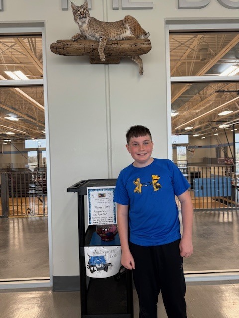 Bobcat Catch of the Day