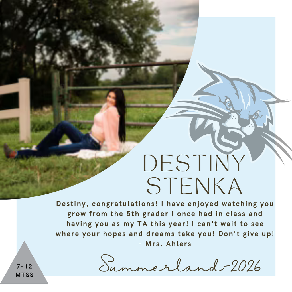 Senior Salute for Destiny Stenka, written by Mrs. Ahlers