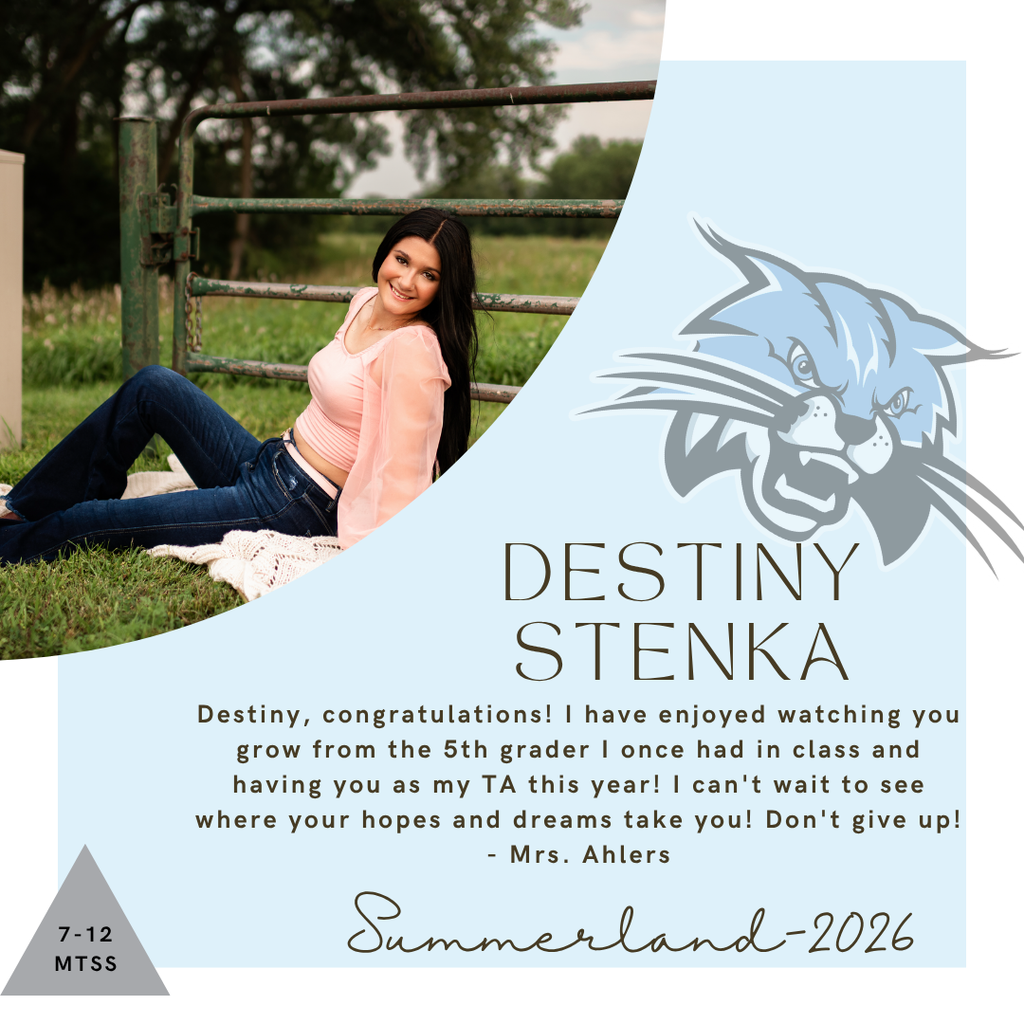 Senior Salute for Destiny Stenka, written by Mrs. Ahlers