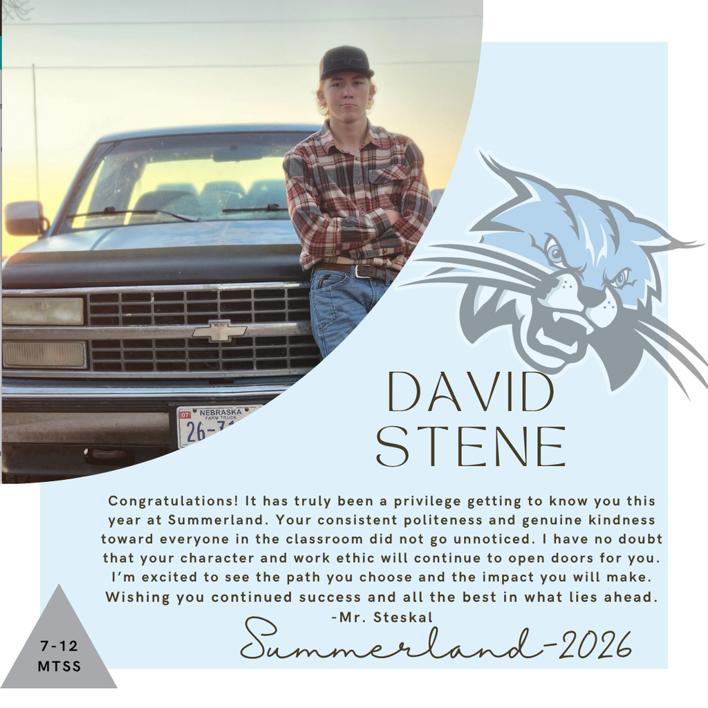 Senior Salute for David Stene written by Mr. Steskal
