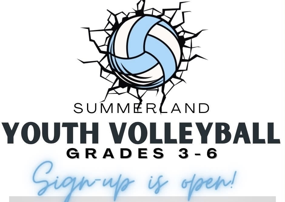 Youth Volleyball