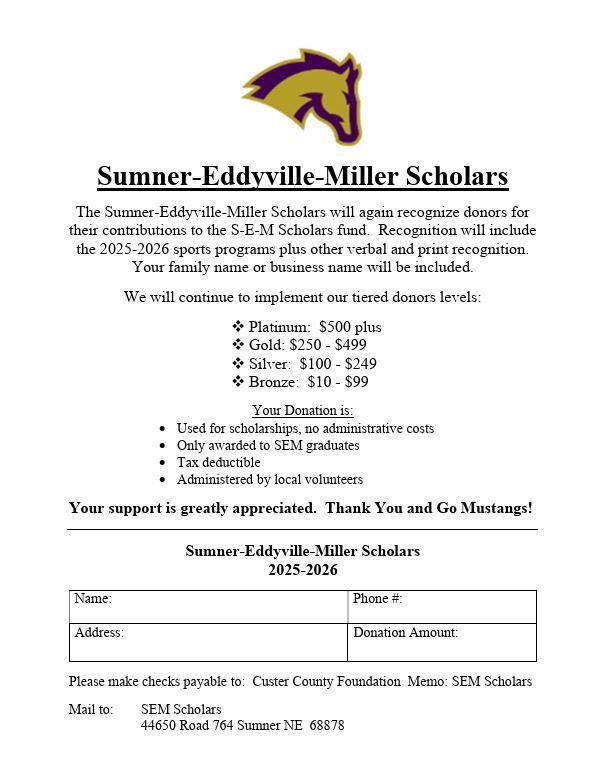 SEM Scholars