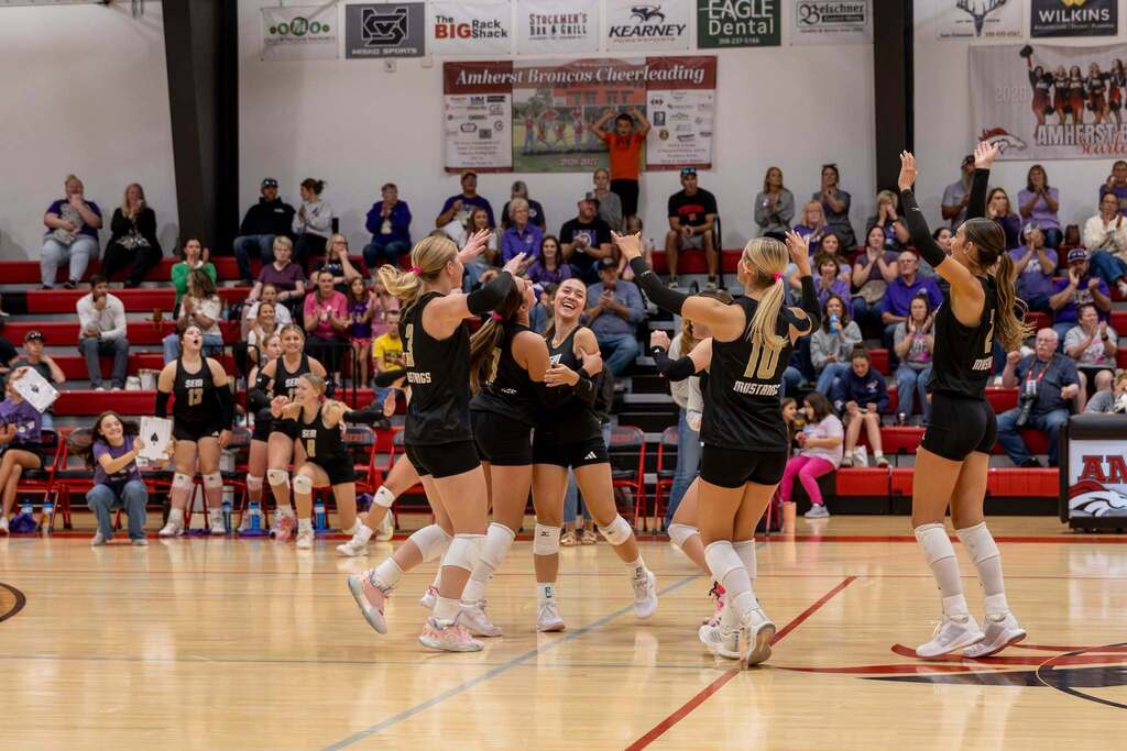 volleyball
