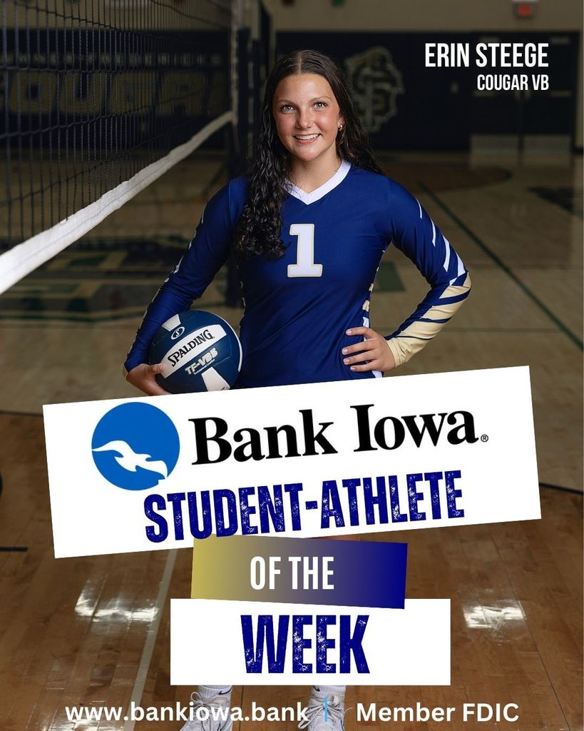 STEEGE BANK IOWA SAW