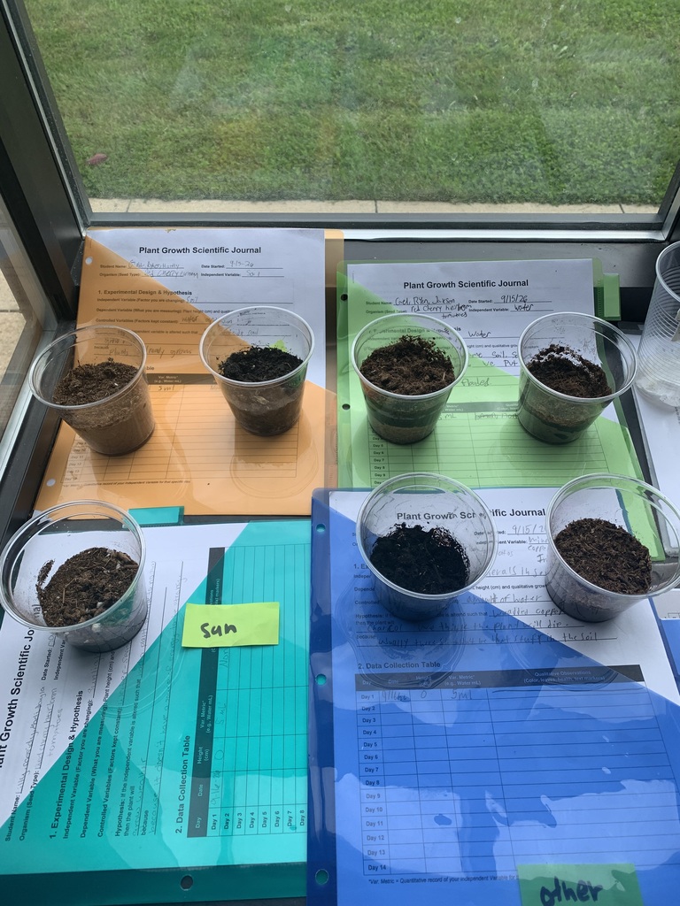 plant experiment