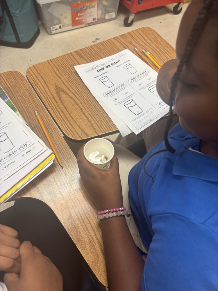 4th Grade Science in action!