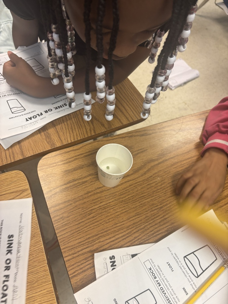 4th Grade Science in action!