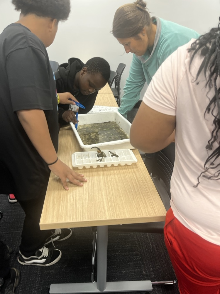 student looking at object