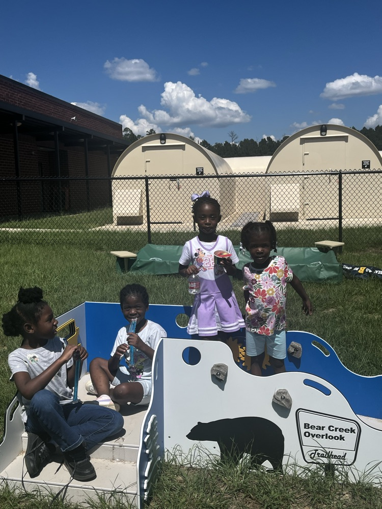 picture of students on a playground toy