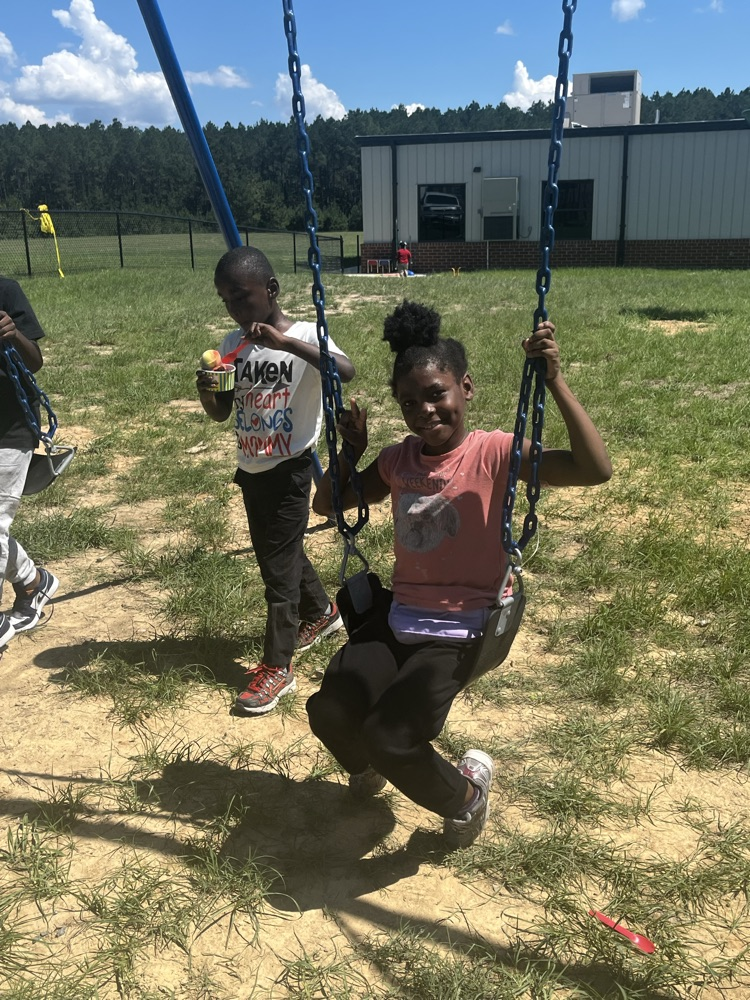 picture of students on a swing